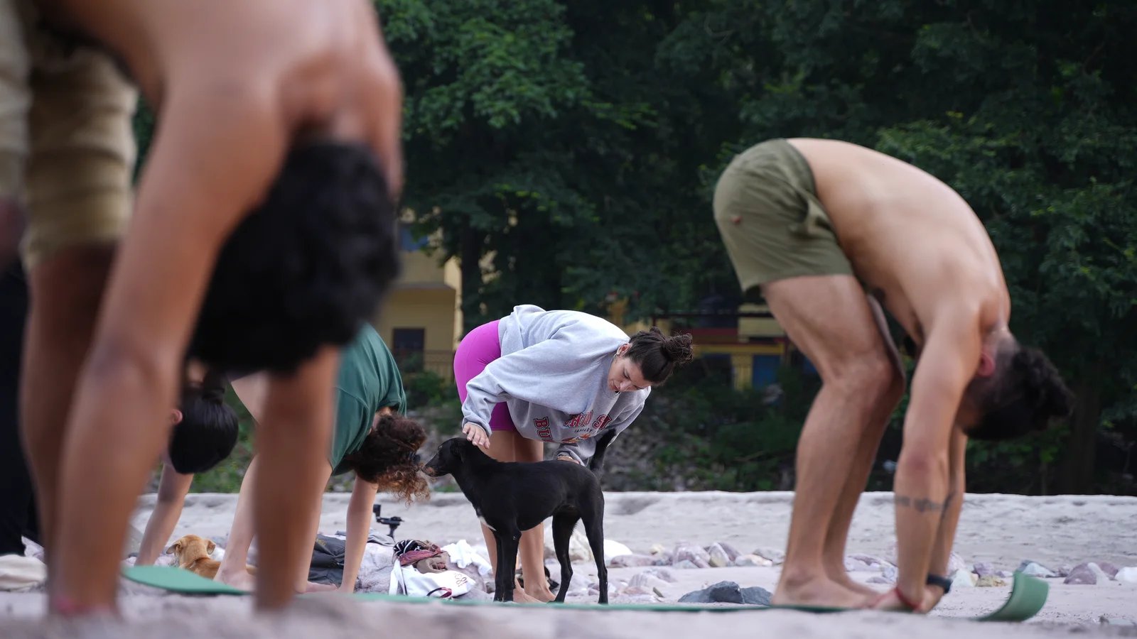 7 Day Sacred Pause: Yoga, Pranayama, and Inner Peace Retreat in Rishikesh, India
