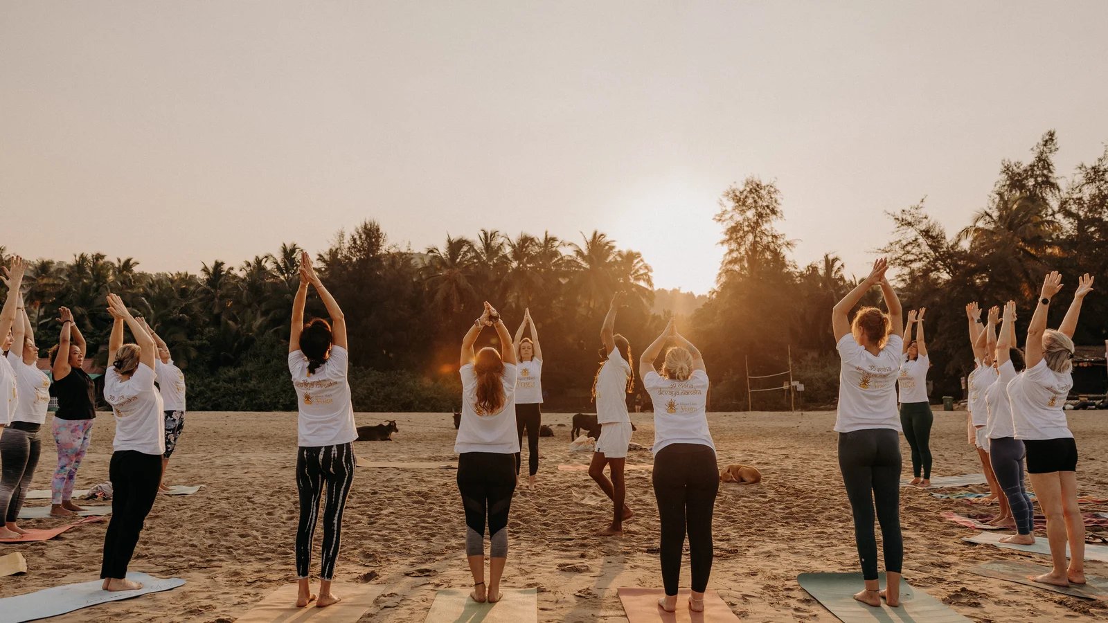 21 Day Full Reset & Transform Ayurveda Panchakarma Detox & Yoga Retreats in Goa, India
